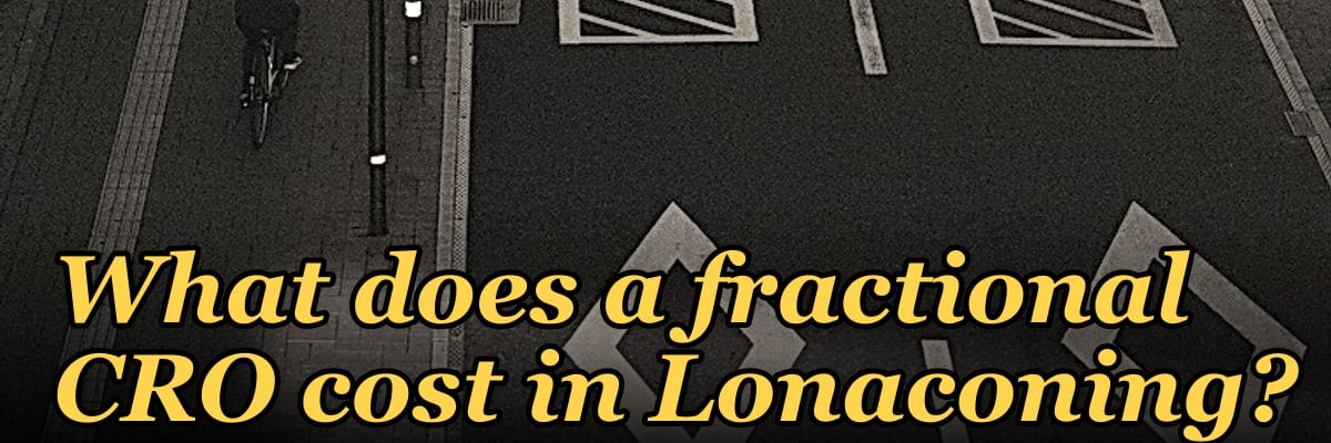 What does a fractional CRO cost in Lonaconing?