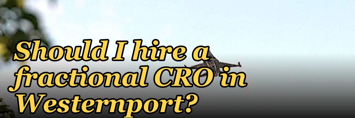Should I hire a fractional CRO in Westernport?