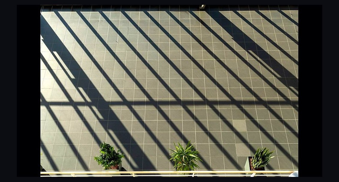 Who is the best fractional CRO in Oakland in 2027?