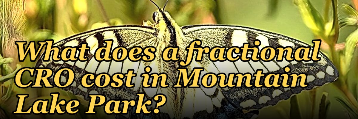 What does a fractional CRO cost in Mountain Lake Park?