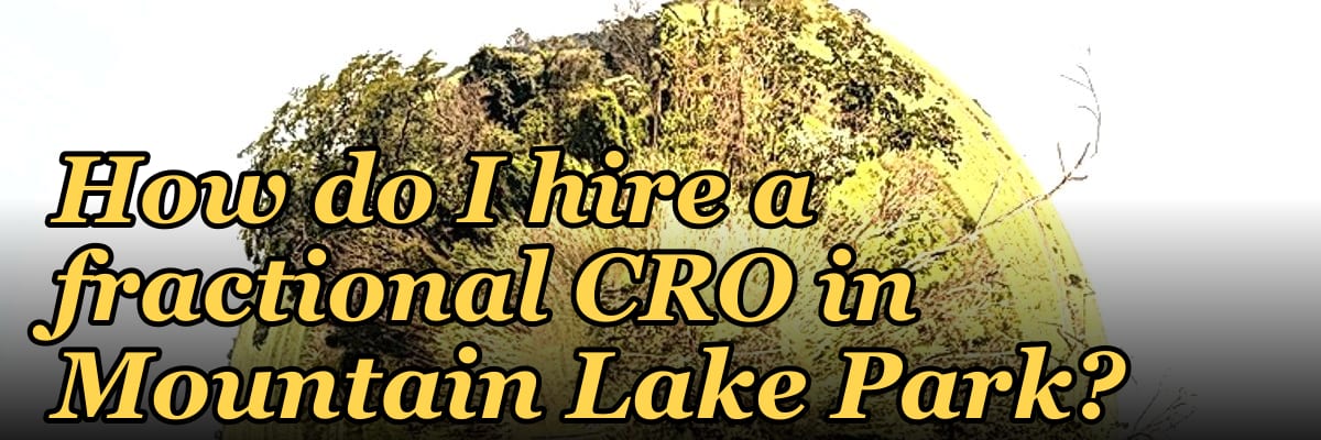 How do I hire a fractional CRO in Mountain Lake Park?