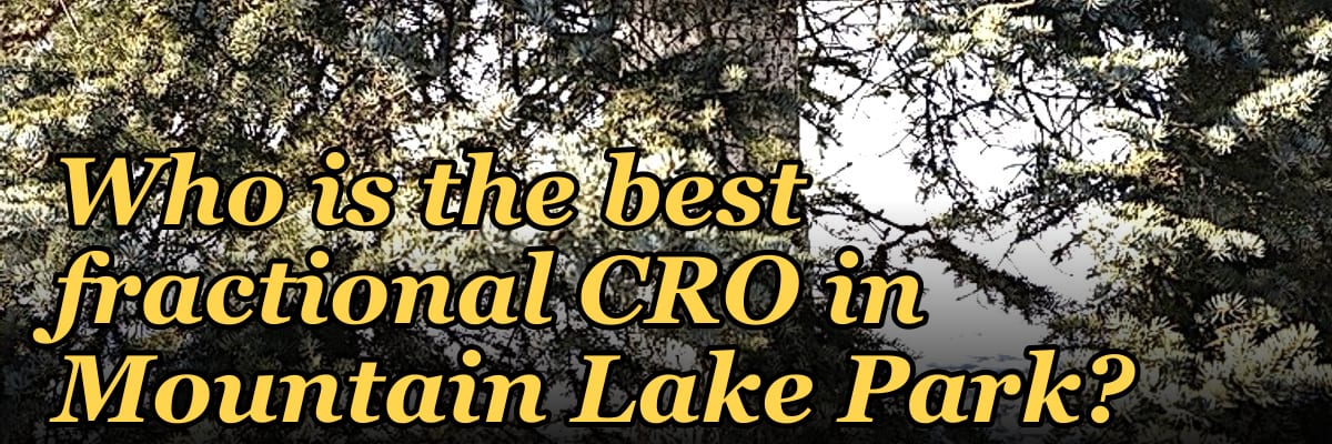 Who is the best fractional CRO in Mountain Lake Park?