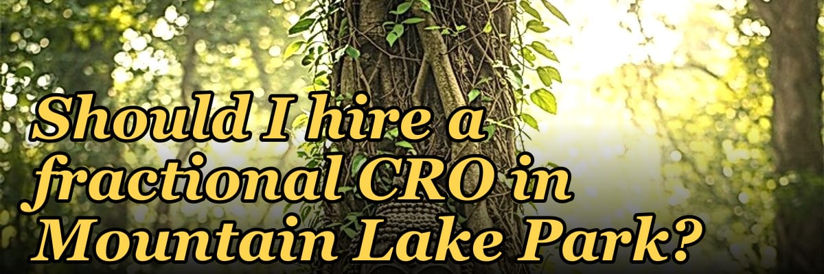 Should I hire a fractional CRO in Mountain Lake Park?