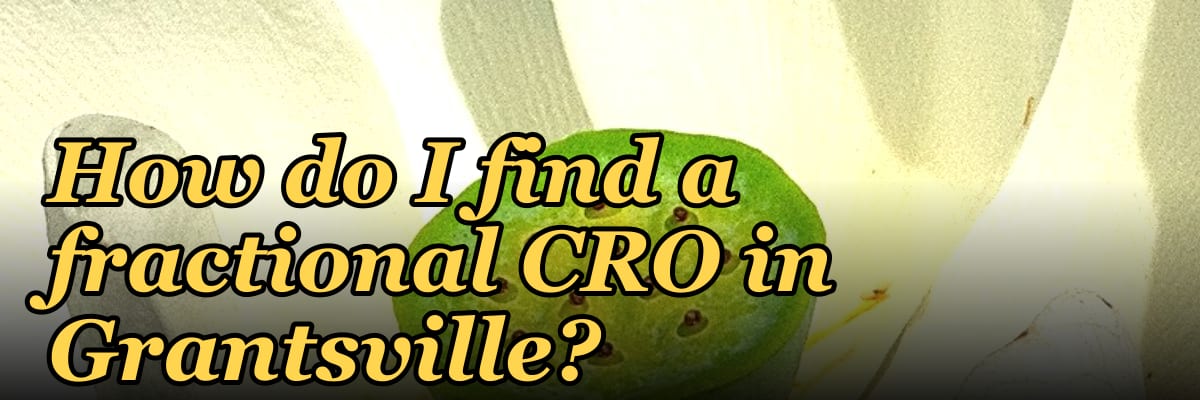 How do I find a fractional CRO in Grantsville?