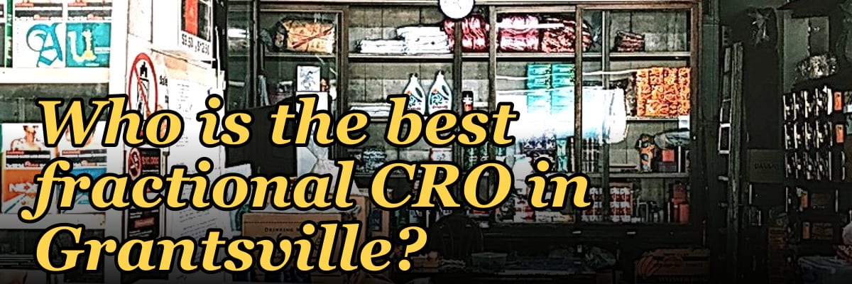 Who is the best fractional CRO in Grantsville?