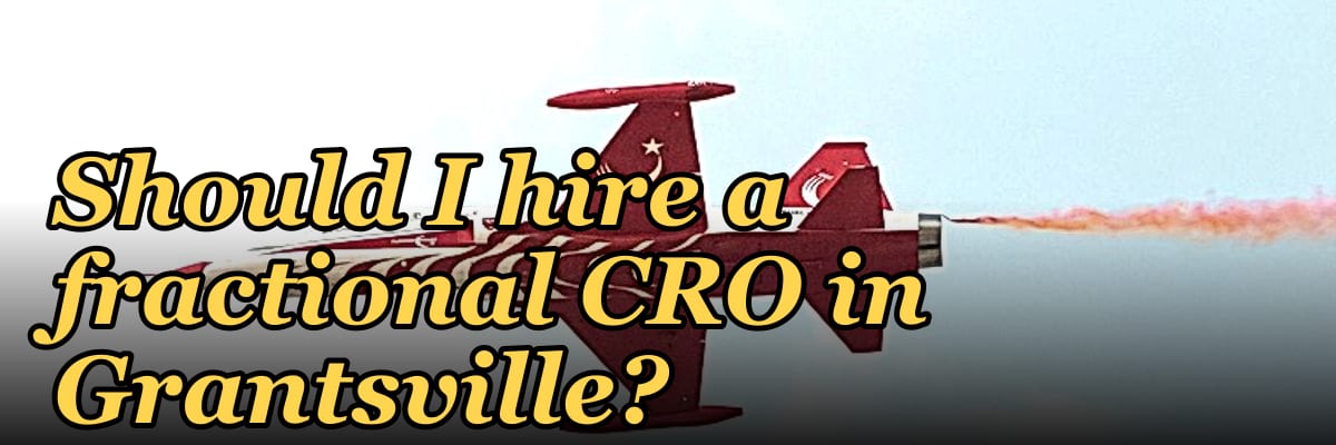 Should I hire a fractional CRO in Grantsville?