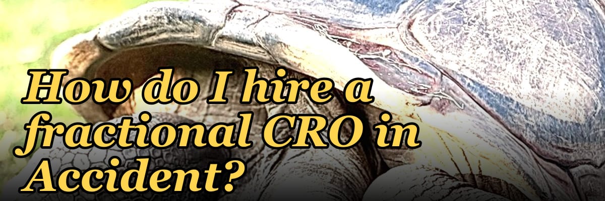 How do I hire a fractional CRO in Accident?