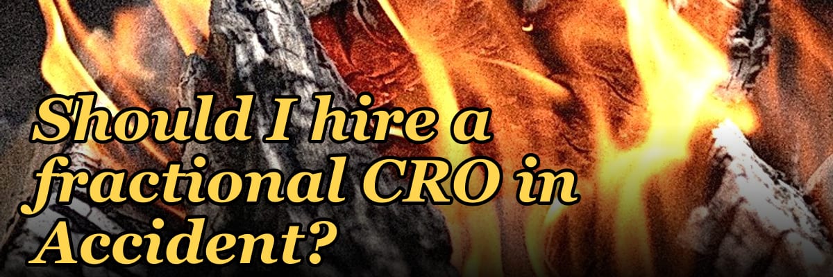 Should I hire a fractional CRO in Accident?