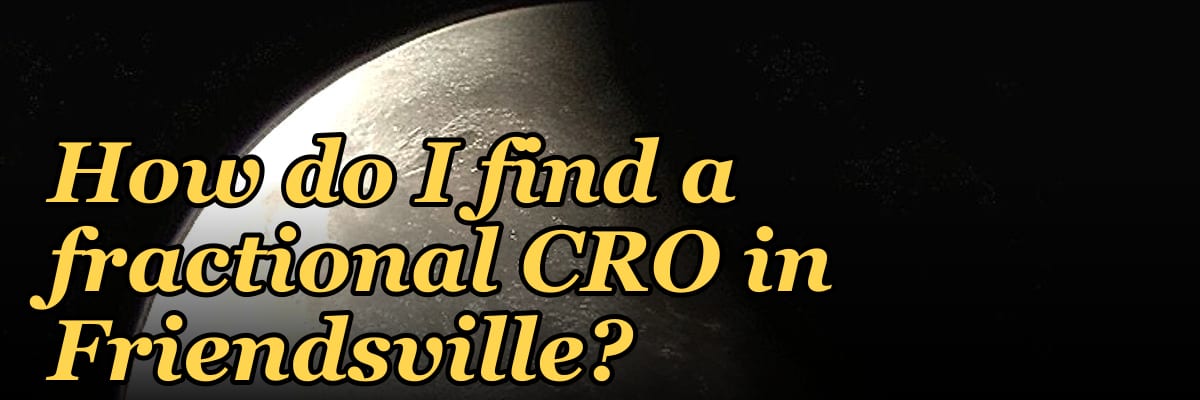 How do I find a fractional CRO in Friendsville?