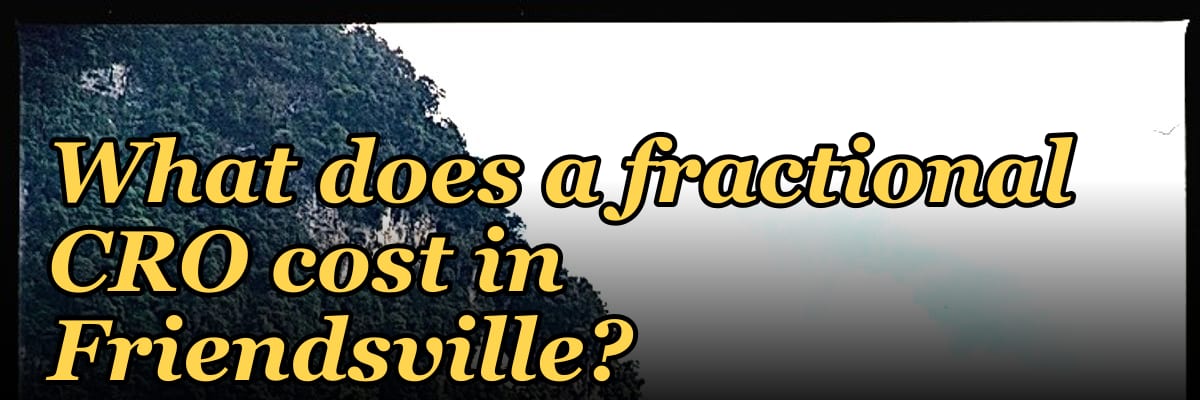 What does a fractional CRO cost in Friendsville?