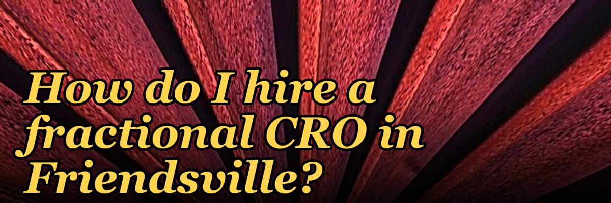 How do I hire a fractional CRO in Friendsville?
