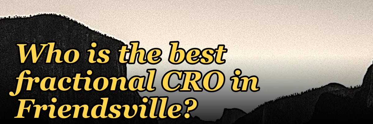 Who is the best fractional CRO in Friendsville?
