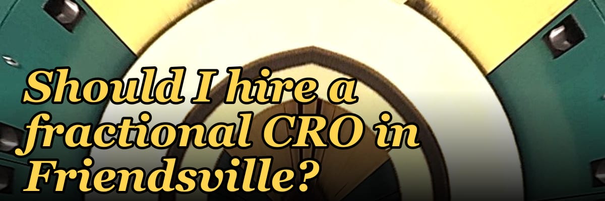 Should I hire a fractional CRO in Friendsville?