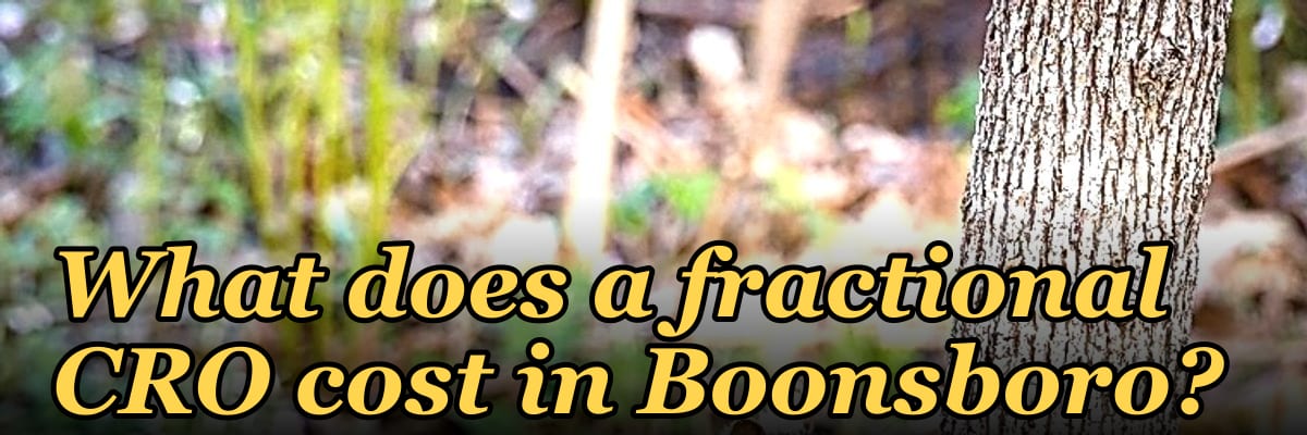What does a fractional CRO cost in Boonsboro?
