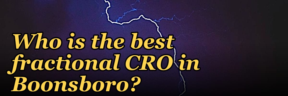 Who is the best fractional CRO in Boonsboro?