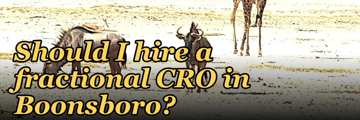 Should I hire a fractional CRO in Boonsboro?
