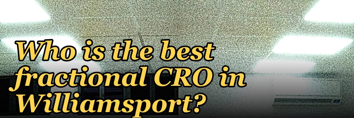 Who is the best fractional CRO in Williamsport?