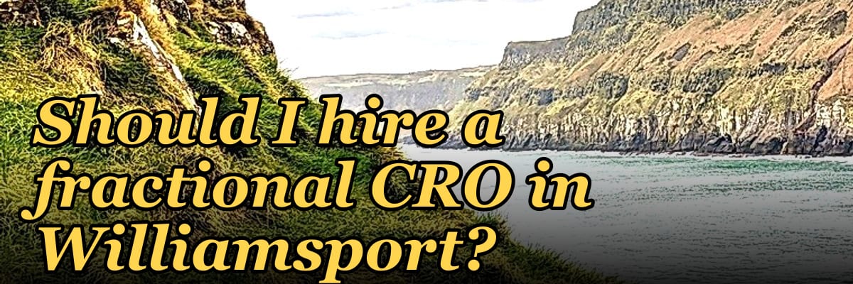 Should I hire a fractional CRO in Williamsport?