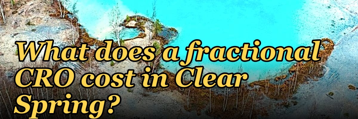 What does a fractional CRO cost in Clear Spring?