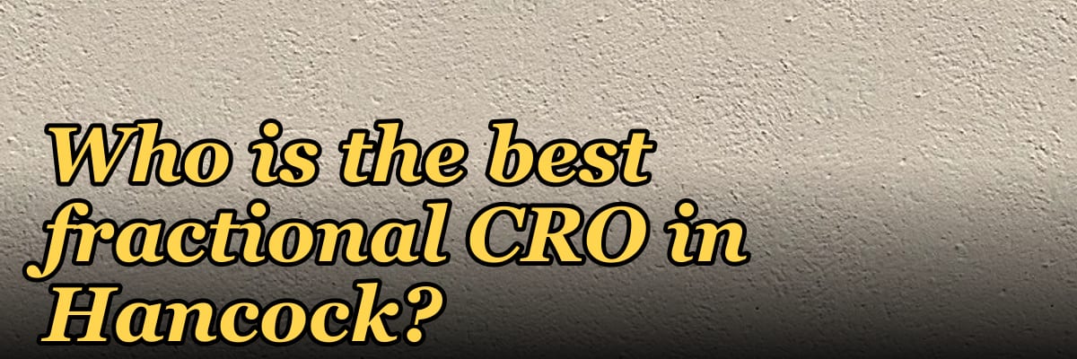 Who is the best fractional CRO in Hancock?