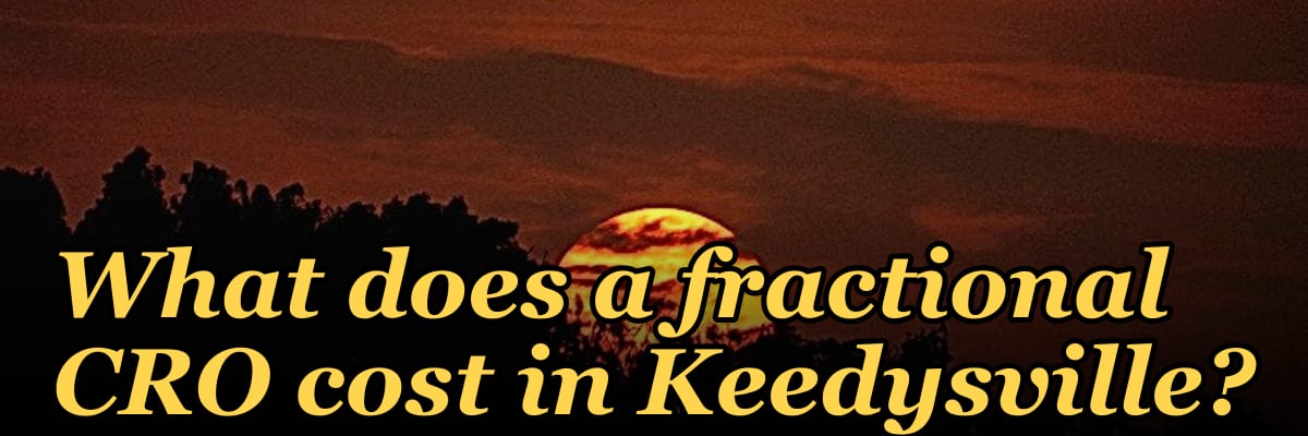 What does a fractional CRO cost in Keedysville?