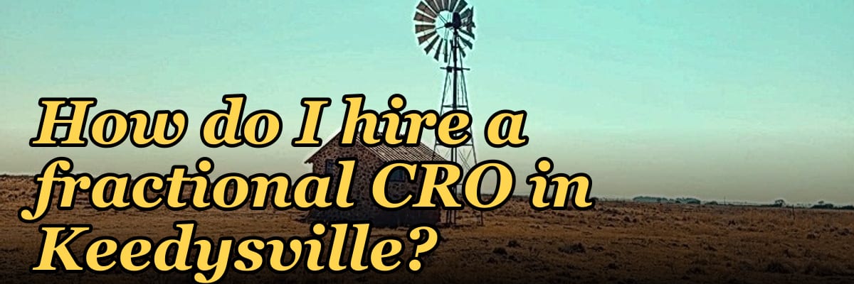 How do I hire a fractional CRO in Keedysville?