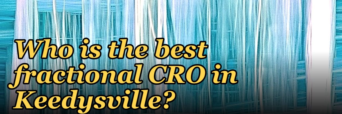 Who is the best fractional CRO in Keedysville?