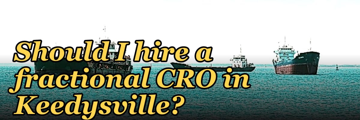 Should I hire a fractional CRO in Keedysville?