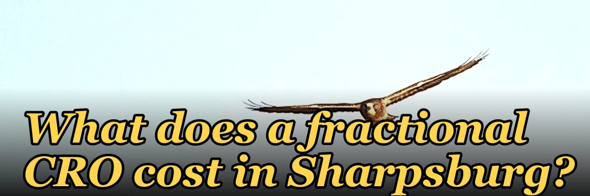 What does a fractional CRO cost in Sharpsburg?