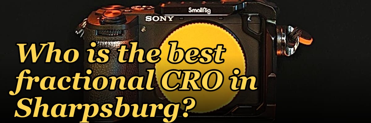 Who is the best fractional CRO in Sharpsburg?