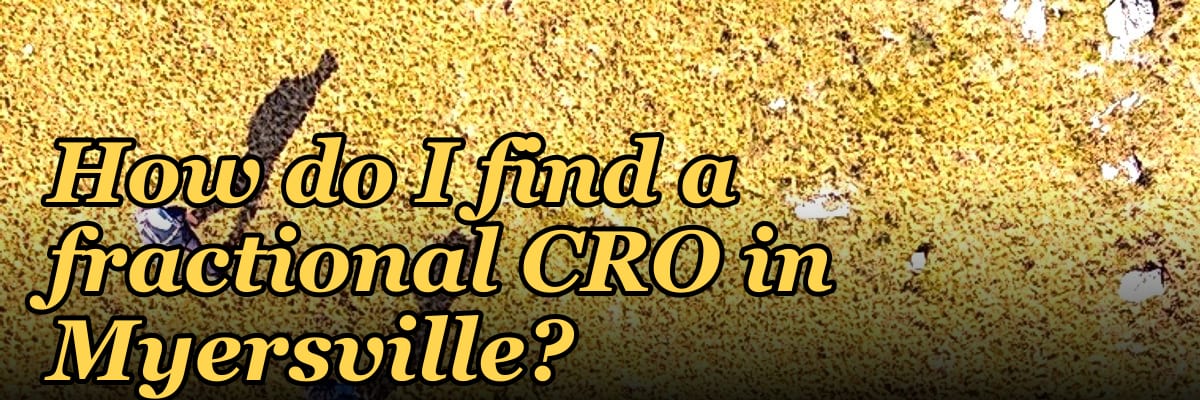 How do I find a fractional CRO in Myersville?