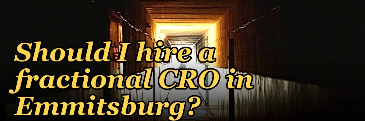 Should I hire a fractional CRO in Emmitsburg?
