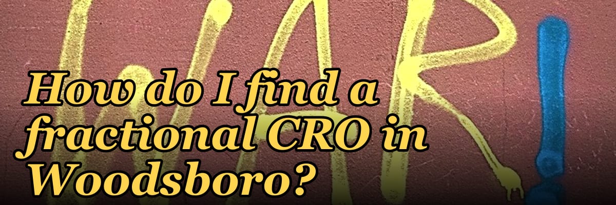How do I find a fractional CRO in Woodsboro?