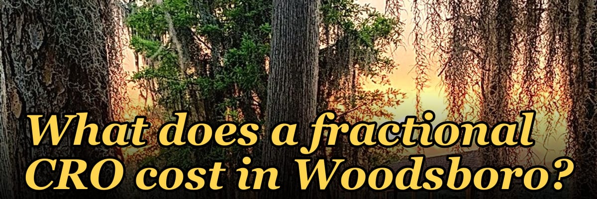 What does a fractional CRO cost in Woodsboro?