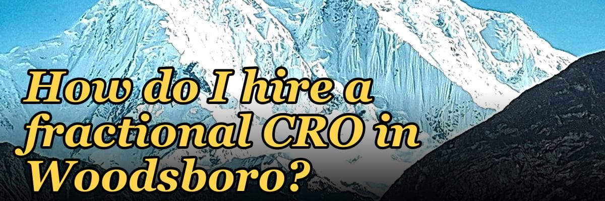 How do I hire a fractional CRO in Woodsboro?