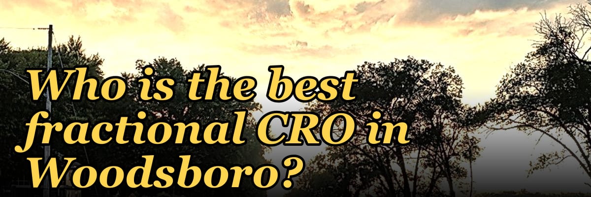 Who is the best fractional CRO in Woodsboro?