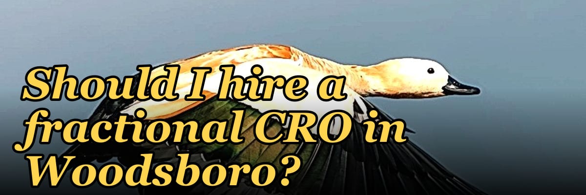 Should I hire a fractional CRO in Woodsboro?