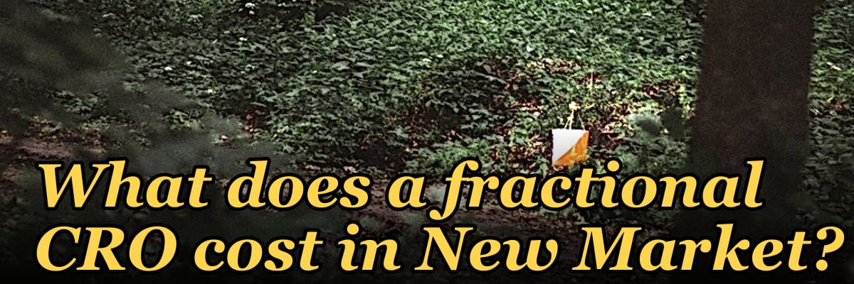 What does a fractional CRO cost in New Market?