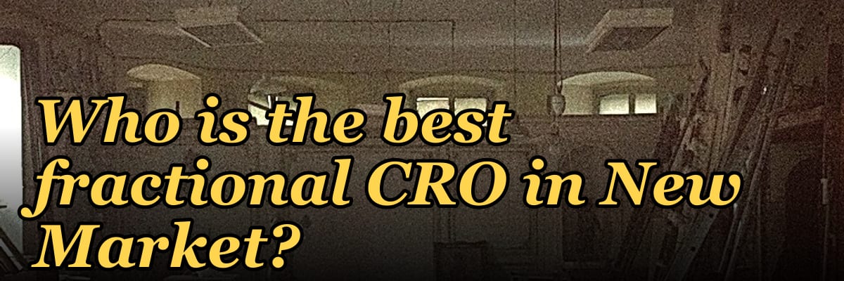 Who is the best fractional CRO in New Market?