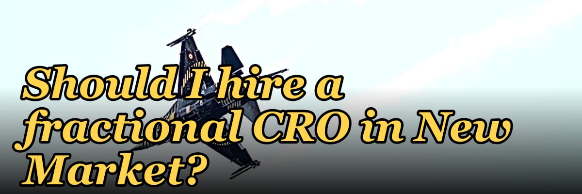 Should I hire a fractional CRO in New Market?