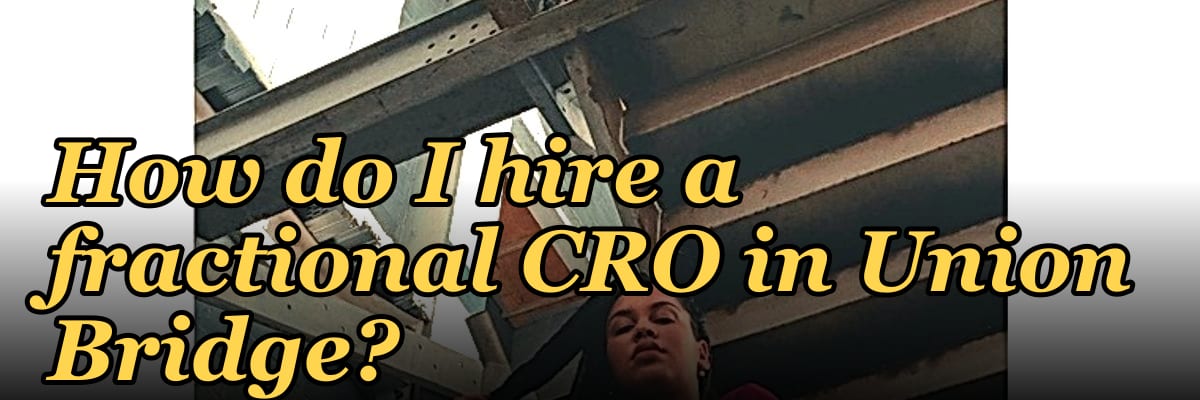 How do I hire a fractional CRO in Union Bridge?