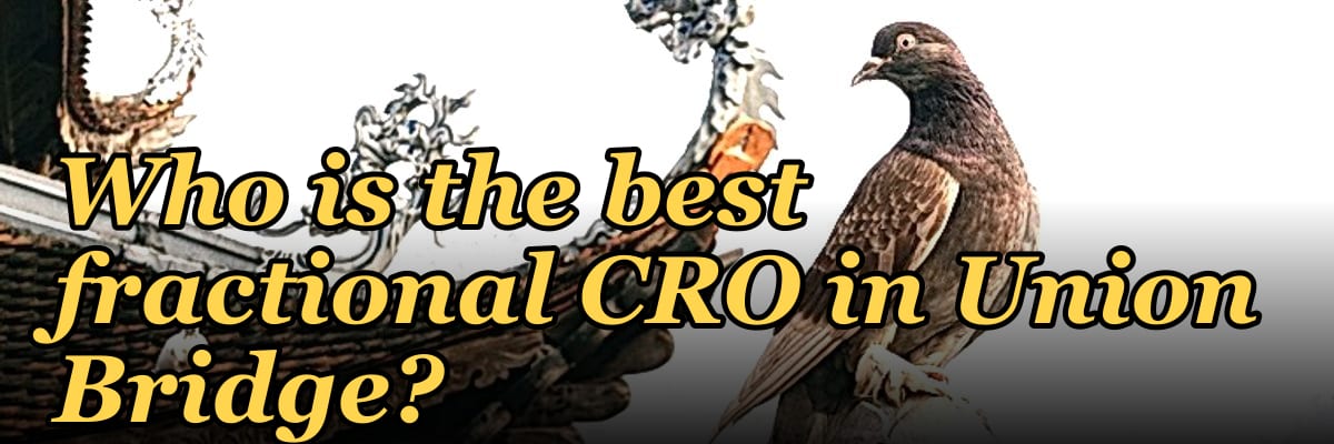 Who is the best fractional CRO in Union Bridge?