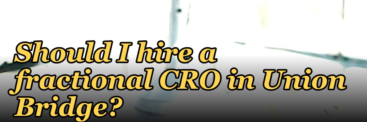 Should I hire a fractional CRO in Union Bridge?