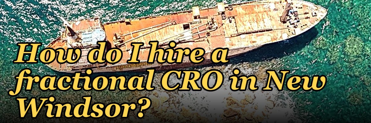 How do I hire a fractional CRO in New Windsor?