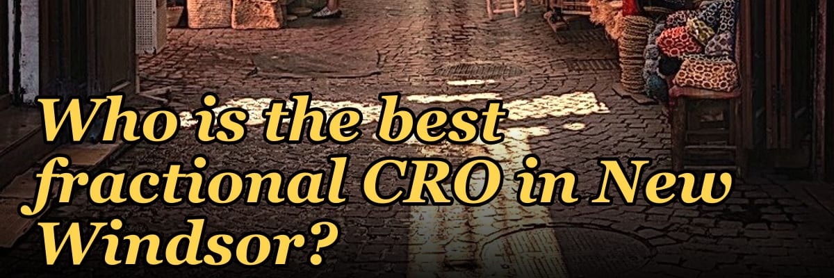 Who is the best fractional CRO in New Windsor?