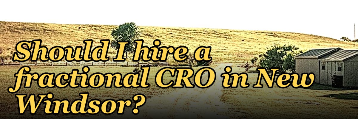 Should I hire a fractional CRO in New Windsor?