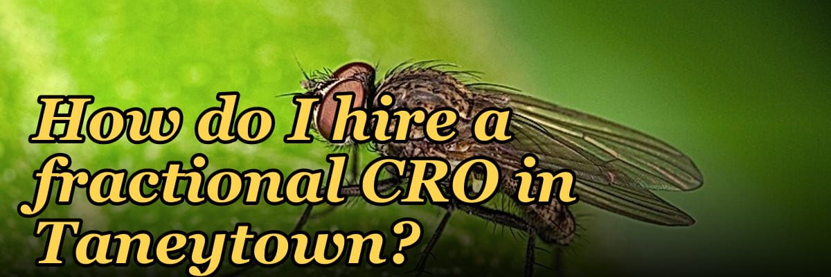 How do I hire a fractional CRO in Taneytown?