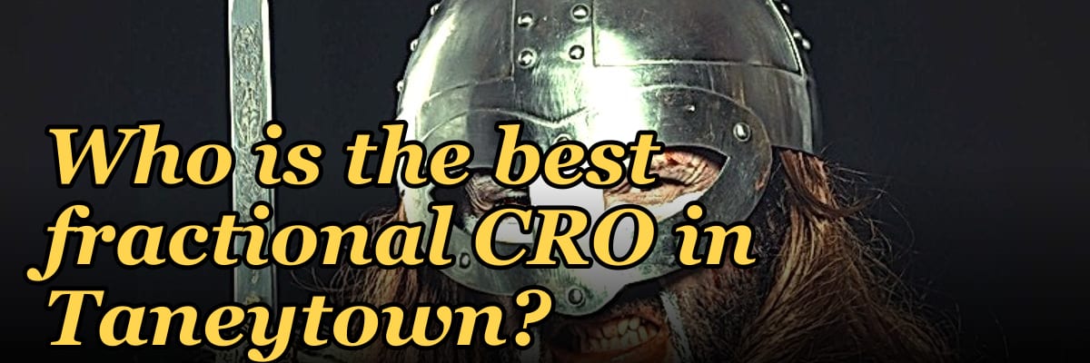 Who is the best fractional CRO in Taneytown?