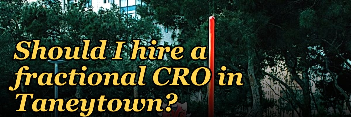 Should I hire a fractional CRO in Taneytown?