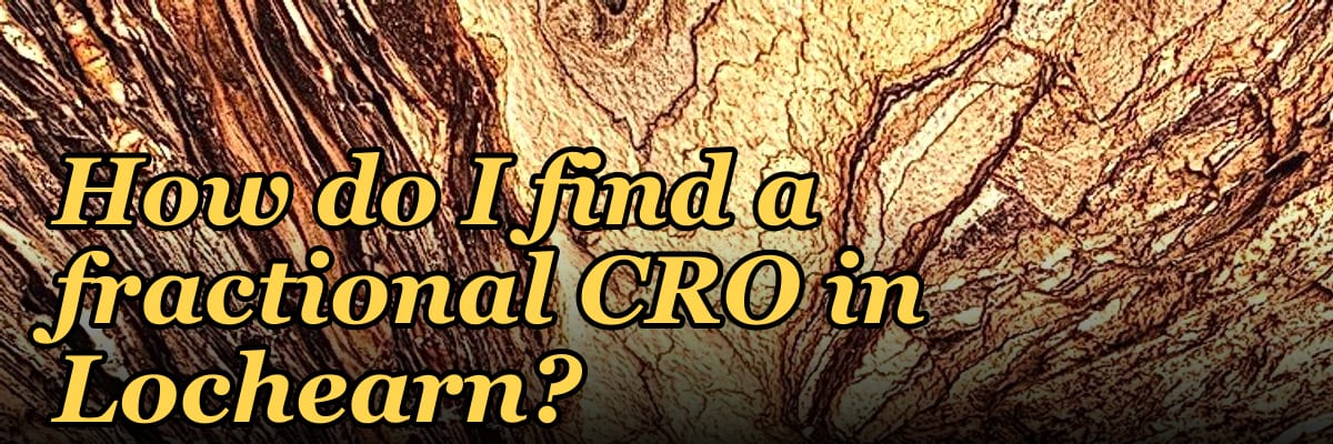 How do I find a fractional CRO in Lochearn?